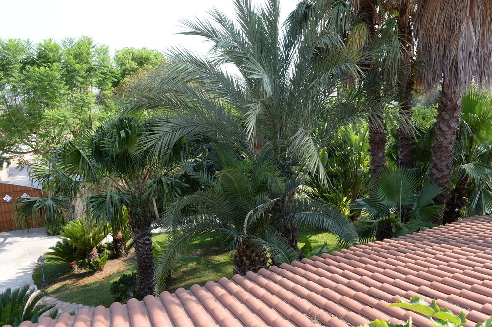 Il Giardino Delle Jacaranda Bed & Breakfast Talsano Bagian luar foto